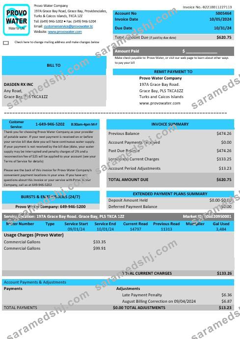 United Kingdom Turks and Caicos Islands Provo Water Company business utility bill Word and PDF template